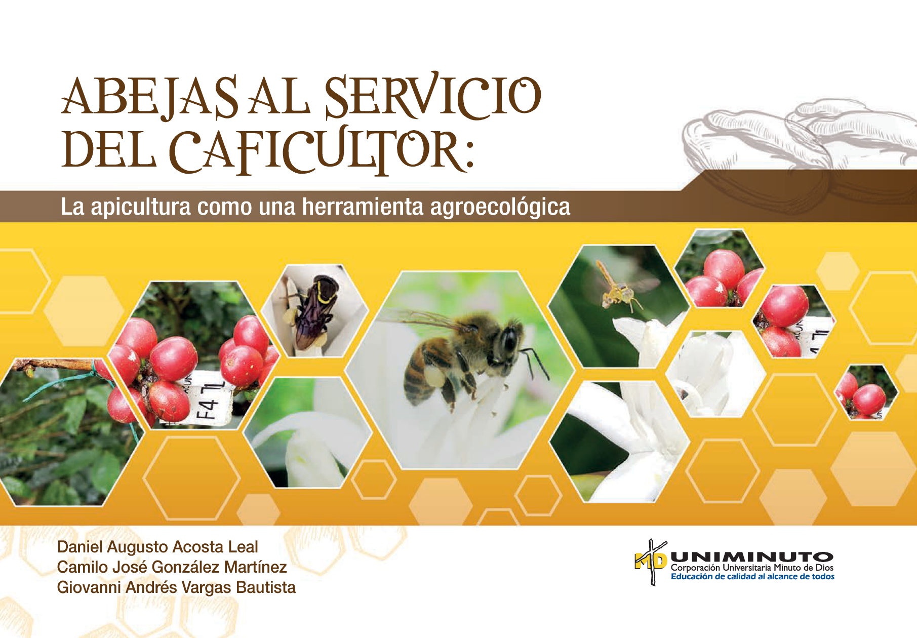 Abejas al servicio del caficultor: la apicultura como una herramienta agroecológica