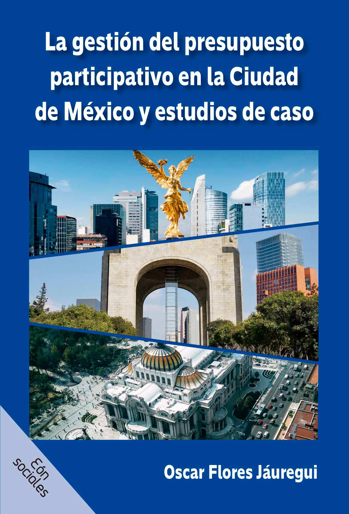 La gestión del presupuesto participativo en la Ciudad de México y estudios de caso