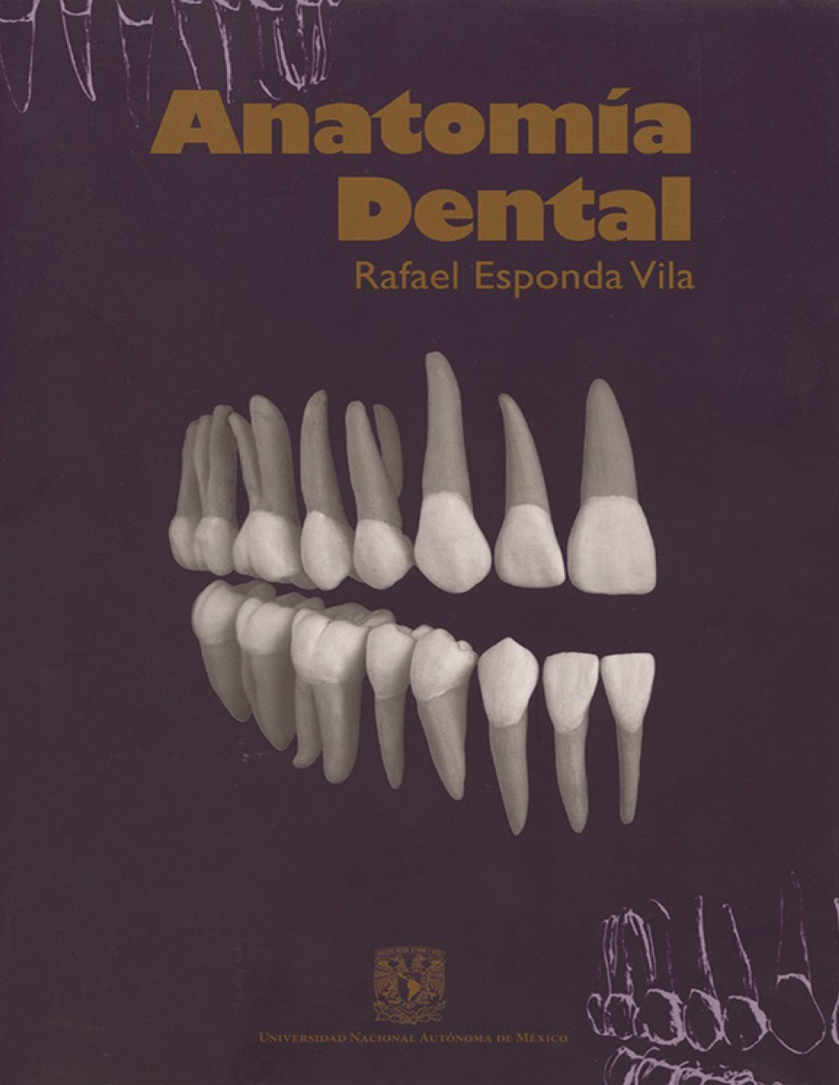 Anatomía dental