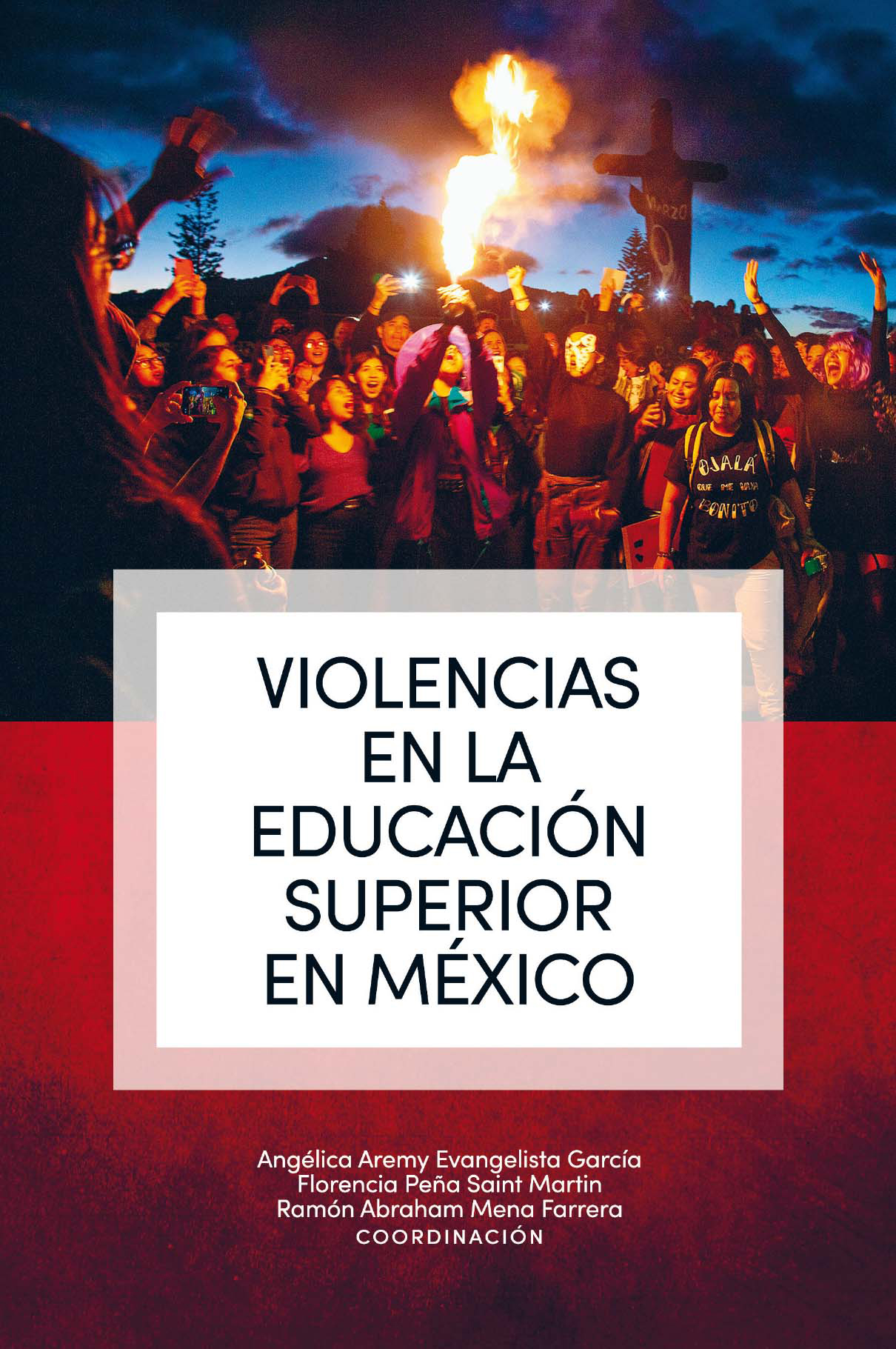 Violencias en la educación superior en México