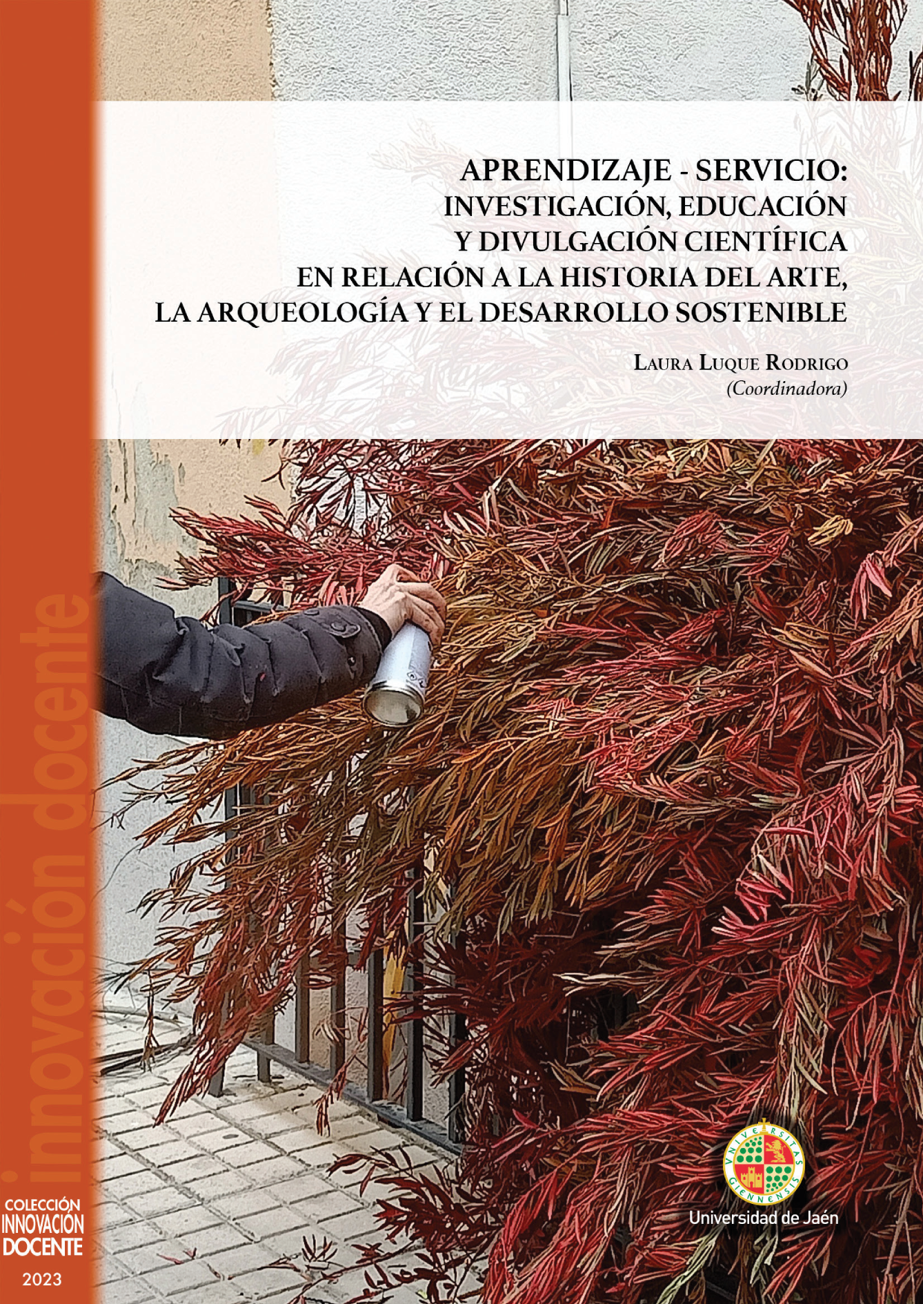 Aprendizaje-servicio: investigación, educación y divulgación científica en relación a la historia del arte, la arqueología y el desarrollo sostenible